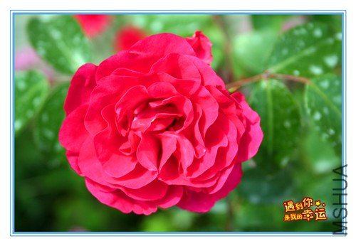 ��Ƭ 142_����.jpg