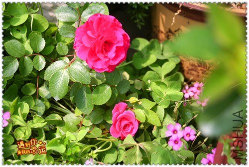 ��Ƭ 144_����.jpg