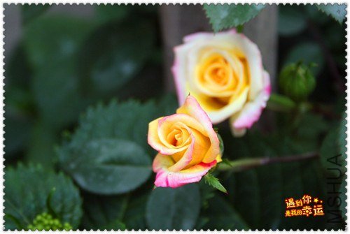 ��Ƭ 138_����.jpg