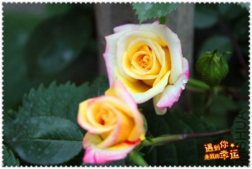 ��Ƭ 139_����.jpg