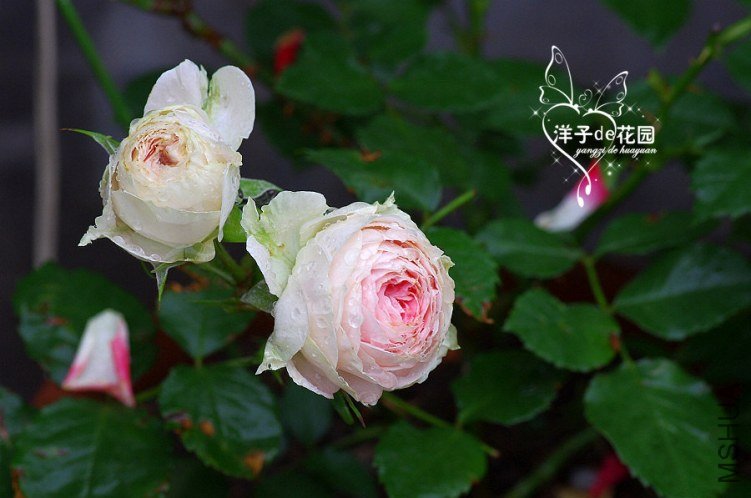IMGP5870.JPG