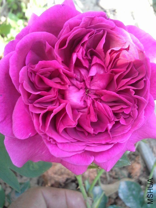 ��������20130505_143608.jpg