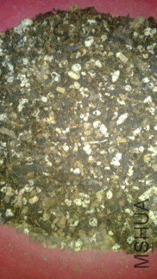 ��ǰ�ø���ֲ�ϣ��������Ѿ�����