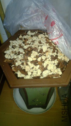 �ұ�������������׼��������ģ�����ģ���Ƥ�٣���ʯ��Щ��ȫ������������