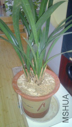 ������������˵�ø�������ɳ�����õ㣬����ϸ��ɳ������