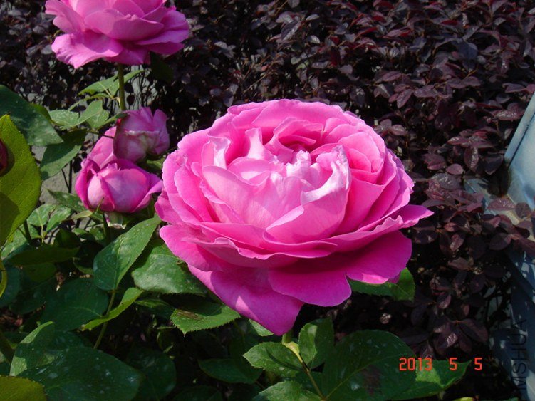 ��Ƭ 019_����.jpg