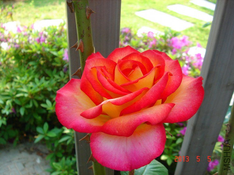 ��Ƭ 028_����.jpg