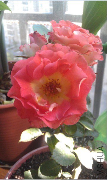 QQ��ͼ20130511164736.jpg