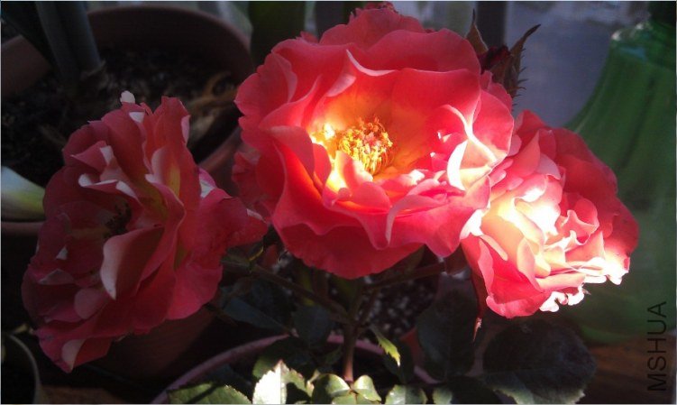 QQ��ͼ20130511165211.jpg