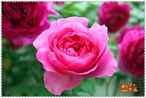 ��Ƭ 020_����.jpg