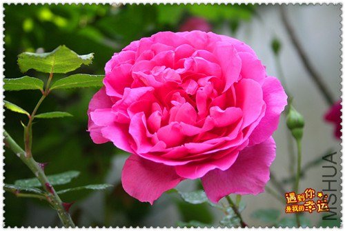 ��Ƭ 023_����.jpg