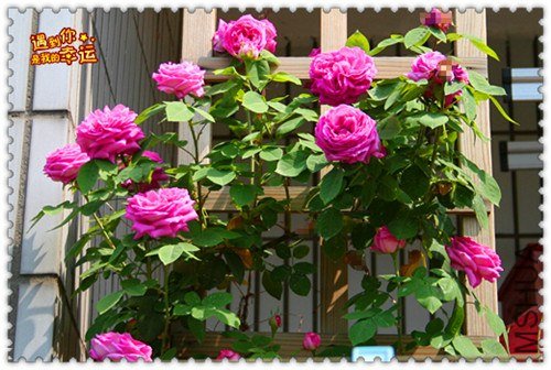 ��Ƭ 024_����.jpg