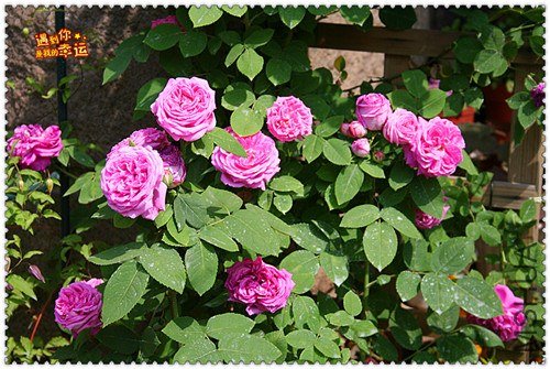 ��Ƭ 027_����.jpg