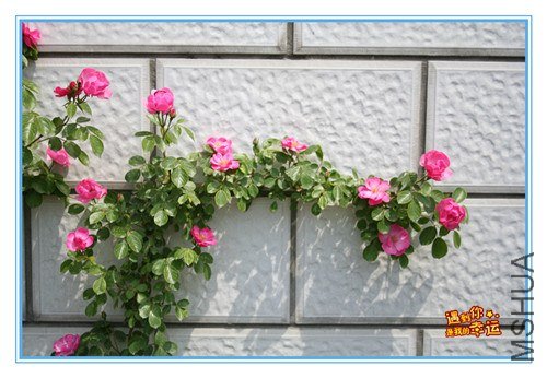 ��Ƭ 083_����.jpg