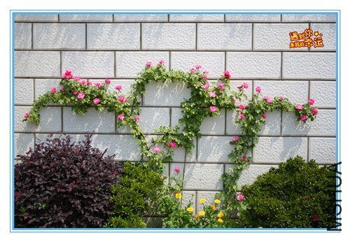 ��Ƭ 078_����.jpg