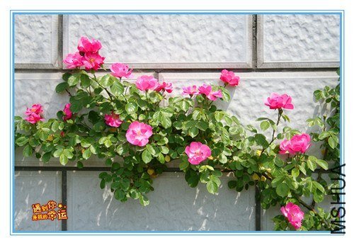 ��Ƭ 080_����.jpg