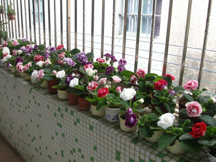 nEO_IMG_����ͩ 033.jpg