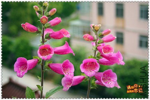 ��Ƭ 228_����.jpg