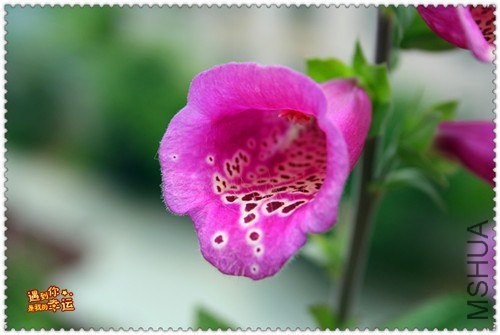 ��Ƭ 229_����.jpg