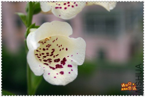 ��Ƭ 236_����.jpg