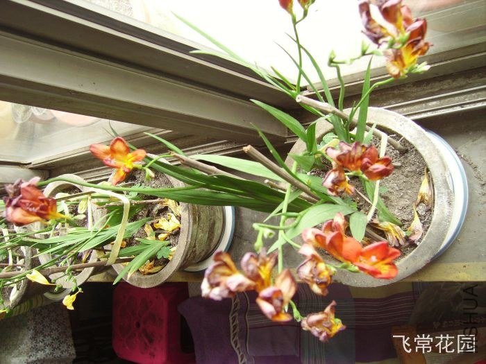 pict2393.jpg