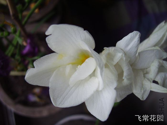 pict2394.jpg