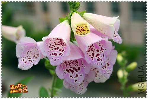 ��Ƭ 232_����.jpg