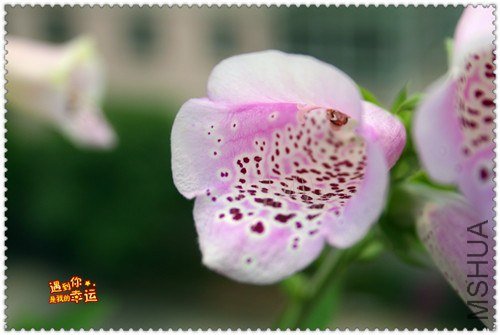 ��Ƭ 234_����.jpg