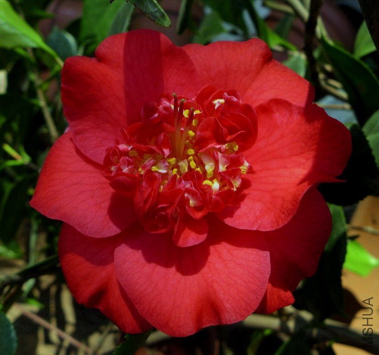 P1010415.jpg