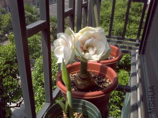 image012.jpg