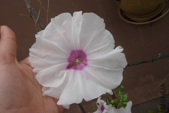 ��֮�� (4).JPG