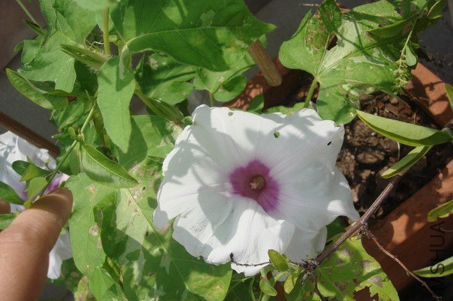 ��֮�� (7).JPG