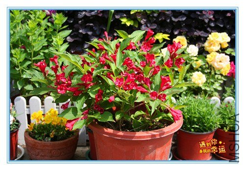 ��Ƭ 037_����.jpg