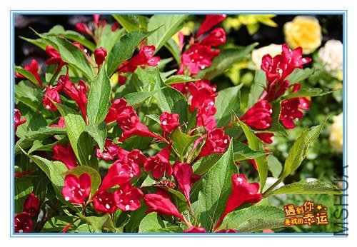 ��Ƭ 040_����.jpg