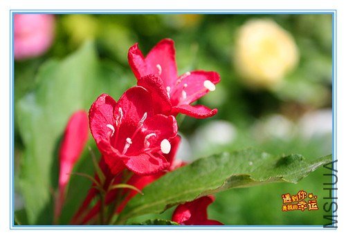 ��Ƭ 044_����.jpg