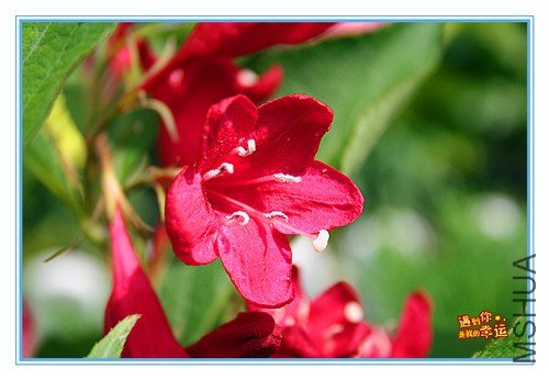 ��Ƭ 046_����.jpg