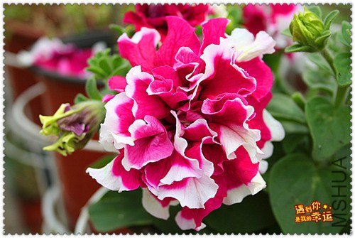 ��Ƭ 269_����.jpg