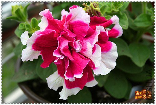 ��Ƭ 270_����.jpg