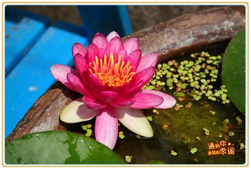 ��Ƭ 053_����.jpg