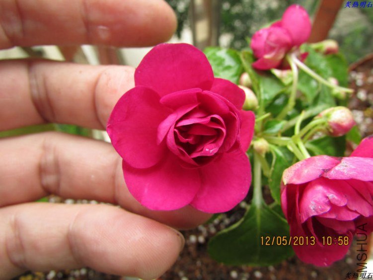 �Ϻ� ���� (2).jpg