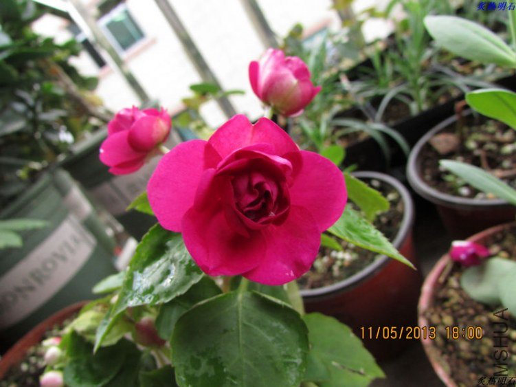 �Ϻ� ����.jpg