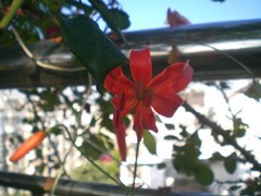 CIMG0103.JPG