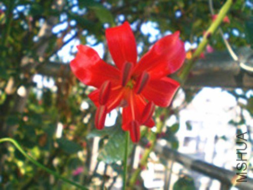 CIMG0104.JPG
