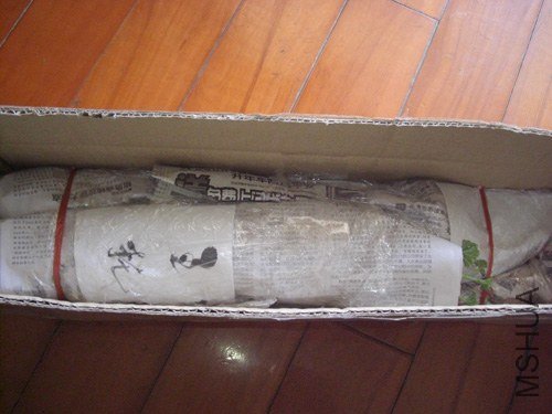 �Բ�����������̶�