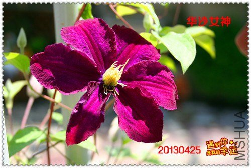 ��Ƭ 140a_����.jpg