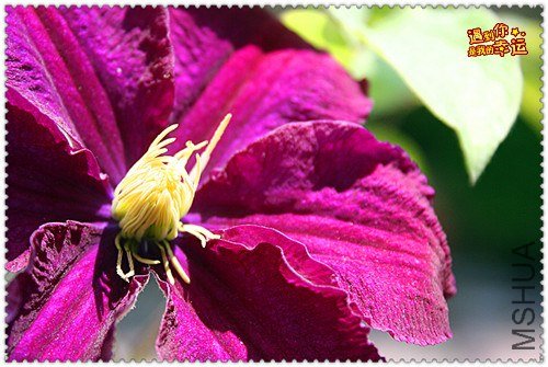 ��Ƭ 141a_����.jpg