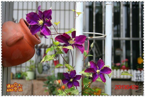 ��Ƭ 151_����.jpg