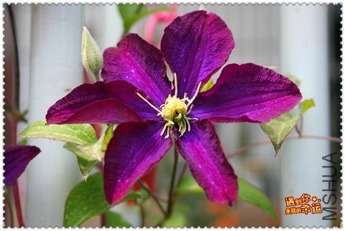 ��Ƭ 153_����.jpg