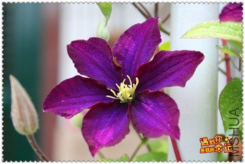 ��Ƭ 154_����.jpg