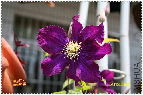 ��Ƭ 154a_����.jpg